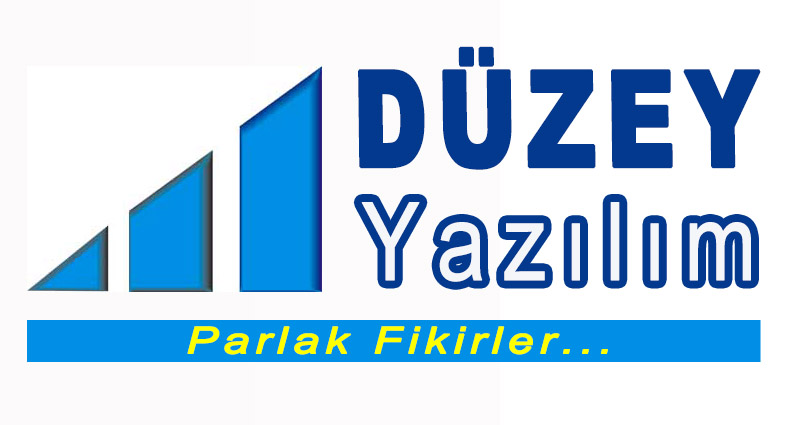 Düzey Yazılım