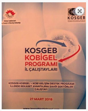 Mersin Teknopark KOSGEB Kobigel Programı İl Çalıştayına Katıldı