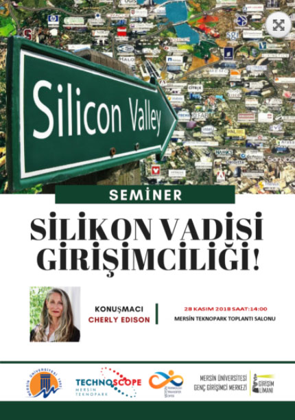 SİLİCON VALLEY SEMİNER