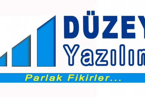 Düzey Yazılım